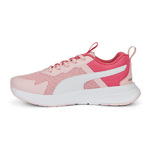 Puma Evolve Run Youth 386238-03